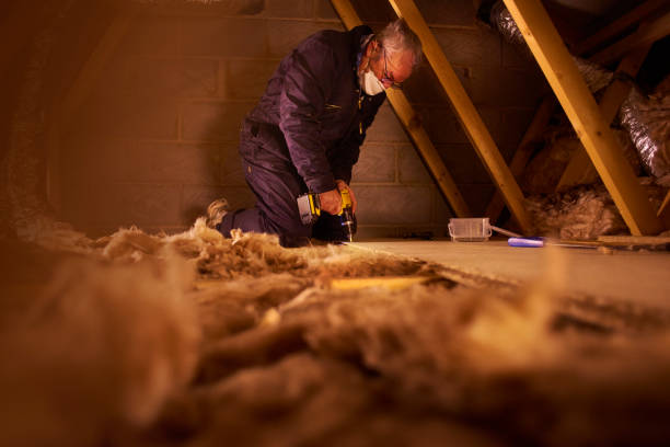 Best Eco-Friendly Insulation in Bainbridge Island, WA